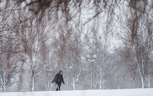 Lifting the sledding ban was one of Mayor Ben Walsh’s most popular campaign promises, he said. 
