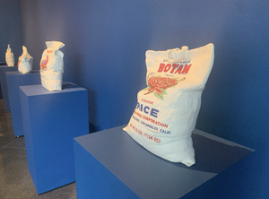 Sculptor Stephanie Shih used her hyperrealist style to create models of bags of rice in her new exhibit My Sweetie Has No Pockmarks.